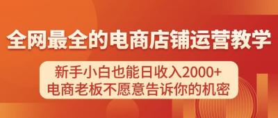 电商店铺运营教学，新手小白也能日收入2000+，电商老板不愿意告诉你的机密