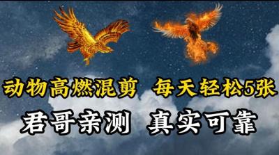 动物超燃混剪,每天轻松5张,剪辑简单大家爱看【揭秘】