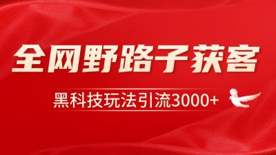 电商引流获客野路子全平台暴力截流获客日引500+