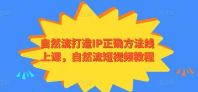 自然流打造IP正确方法线上课,自然流短视频教程