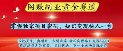 网创副业黄全赛道,掌握独家项目密码,知识变现快人一步,告别韭菜轻松实现单日变现1k+【揭秘】