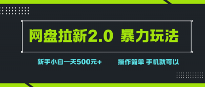 网盘拉新2.0，暴力玩法，新手小白一天轻松500，操作简单