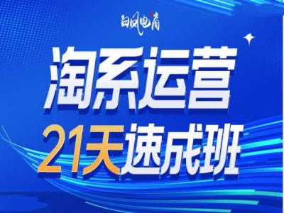 淘系运营21天速成班35期,年前最后一波和2025方向
