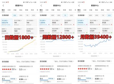 拼多多虚拟店铺项目，电脑挂机自动发货，单店日利润300+