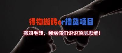 得物搬砖撸货项目?掰下数据,我给你们说说顶层思维【揭秘】