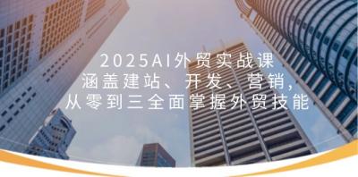 2025AI外贸实战课:涵盖建站、开发、营销, 从零到三全面掌握外贸技能