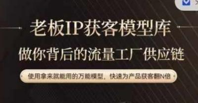 老板IP流量供应链,动作越少,账号越好,使用拿来就能用的万能模型,快速为产品获客翻N倍