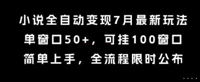 小说全自动变现7月玩法,单窗口50+,可挂100窗口,简单上手,全流程限时公布【揭秘】