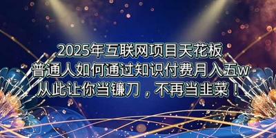 2025年互联网项目天花板,普通人如何通过卖项目实现逆风翻盘,月入5W+!