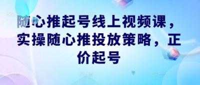 随心推起号线上视频课,实操随心推投放策略,正价起号