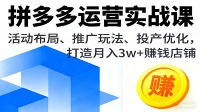 拼多多运营实战课,活动布局、推广玩法、投产优化,打造月入3w+赚钱店铺