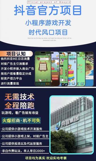 2025最热抖音官方项目 Ai时代风口项目小程序游戏开发 实测单个游戏日收...