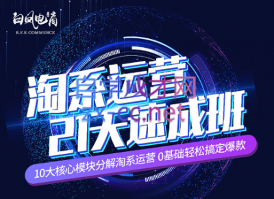 淘系运营21天速成班(更新7月)