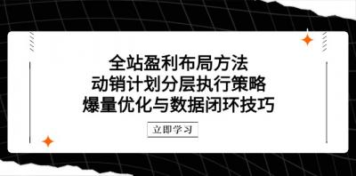 全站盈利布局方法：动销计划分层执行策略，爆量优化与数据闭环技巧