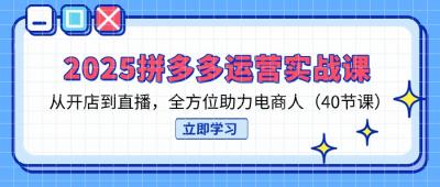 2025拼多多运营实战课,从开店到直播,全方位助力电商人(40节课