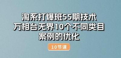 淘系打爆班55期技术:万相台无界10个不同类目案例的优化(10节)
