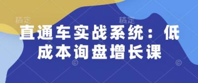 直通车实战系统:低成本询盘增长课,让个人通过技能实现升职加薪,让企业低成本获客,订单源源不断