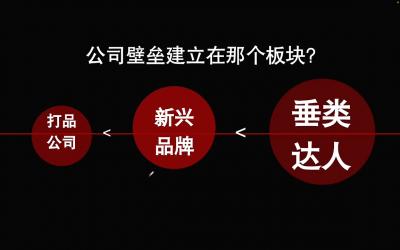 陈十亿·2025全域起号10倍ROI打法课