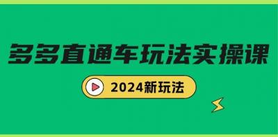(9412期)多多直通车玩法实战课，2024新玩法(7节课)