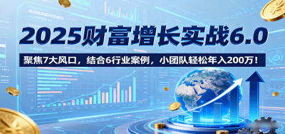 2025财富增长实战6.0，聚焦7大风口，结合6行业案例，小团队轻松年入200万！