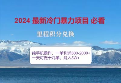 2024惊爆冷门暴利，里程积分最新玩法，高爆发期，一单300+—2000+