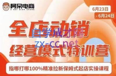 阿呆电商·全店动销经营模式特训营(线下录音+思维导图)