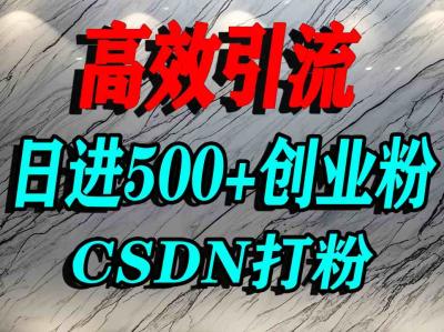 怎么打创业粉?CSDN又一个你不知道的打粉引流神秘平台,单人日引500+精准流量