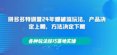 拼多多特训营24年爆破流玩法,产品决定上限,方法决定下限,各种玩法技巧落地实操