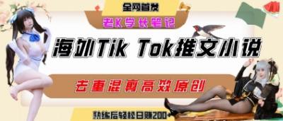 海外tiktok小说推文暴力项目，高停留率，高转化率，上手后一天搞顿饭钱不是问题