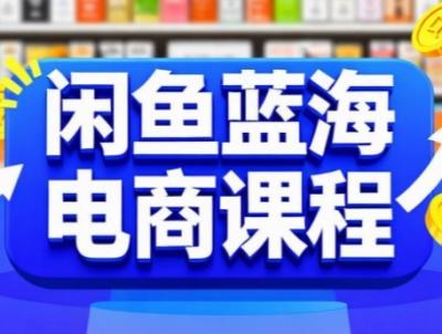 闲鱼蓝海电商课程