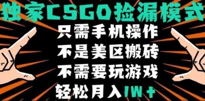 CSGO自动捡漏项目,最新独家玩法,不是美区搬砖,不需要了解和玩游戏,新手小白轻松月入1W+【揭秘】