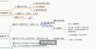 老白来了·小红书2024拍摄原创内容打造百万店铺