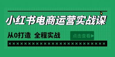 (9946期)最新小红书·电商运营实战课，从0打造  全程实战(65节视频课)