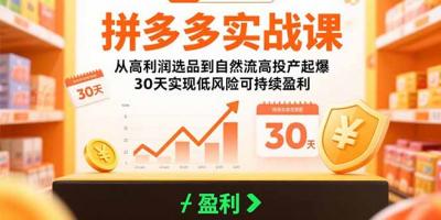 拼多多实战课:从高利润选品到自然流高投产起爆 30天实现低风险可持续盈利