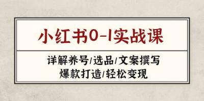 小红书0-1实战课(2023-2025)，详解养号/选品/文案撰写/爆款打造/轻松变现
