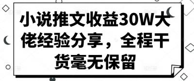 小说推文收益30W大佬经验分享,全程干货毫无保留