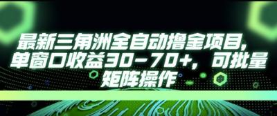 最新AI全自动游戏撸金项目，单窗口收益30-70+，可批量操作【揭秘】