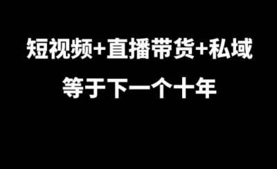 短视频+直播带货+私域等于下一个十年,大佬7年实战经验