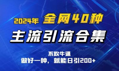 2024年全网40种暴力引流合计，做好一样就能日引100+
