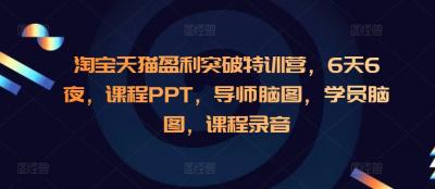 淘宝天猫盈利突破特训营,6天6夜,课程PPT,导师脑图,学员脑图,课程录音