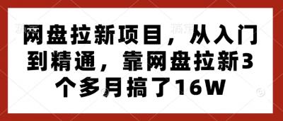 网盘拉新项目,从入门到精通,靠网盘拉新3个多月搞了16W