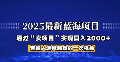 2025年蓝海项目，如何通过“网创项目”日入2000+