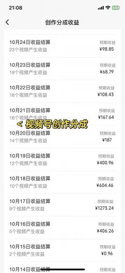 视频号掘金，小白轻松日入800+(附100%过原创技巧)