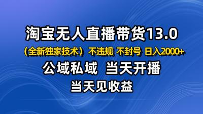 淘宝无人直播13.0，公域私域技术，不封号，不违规 布局下半年旺季赛道，日入2000+
