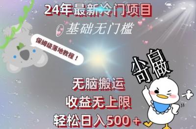 2024最新冷门项目,无脑搬运,收益无上限,轻松日入500+,保姆级落地教程