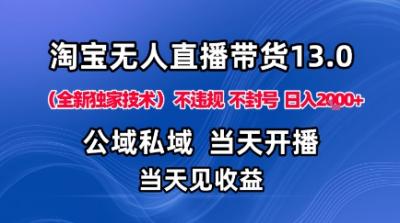 淘宝无人直播13.0,公域私域技术,不封号,不违规布局下半年旺季赛道,日入1K+(独家技术)【揭秘】