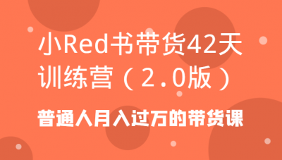 小Red书带货42天训练营(2.0版)普通人月入过万的带货课