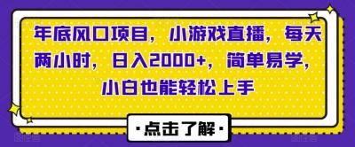 年底风口项目，小游戏直播，每天两小时，日入2000+，简单易学，小白也能轻松上手