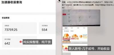 游戏加速器项目4.0_最新打法思路(爱玩游戏也能边玩边被动收益)