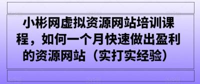 小彬网虚拟资源网站培训课程，如何一个月快速做出盈利的资源网站(实打实经验)
